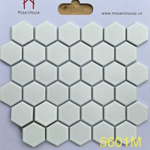 🏊 GẠCH ỐP TRANG TRÍ HỒ BƠI 🏊