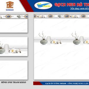 💎HÀ THỊNH PHÁT 30 x 60 💎
